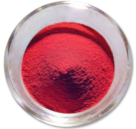 Snímek obrazovky 2026-03-09 110223